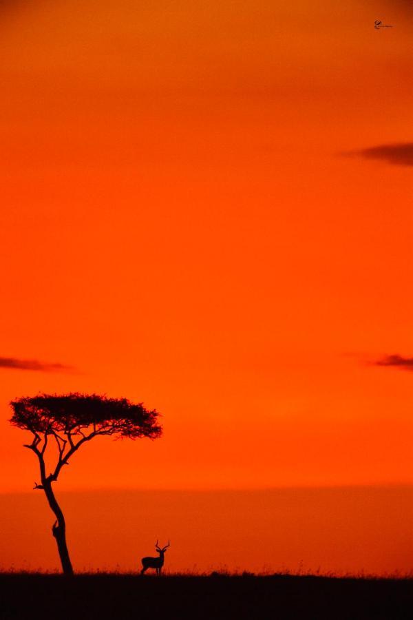 Hotel Lorian Safari Camp Limited à Narok Extérieur photo
