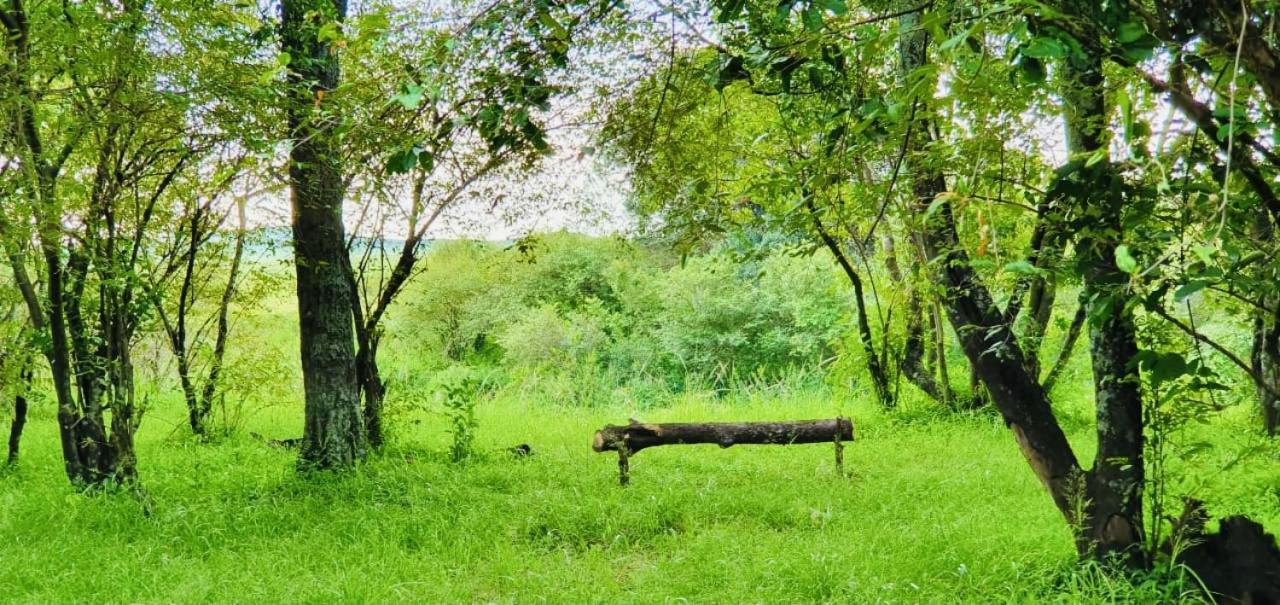 Hotel Lorian Safari Camp Limited à Narok Extérieur photo